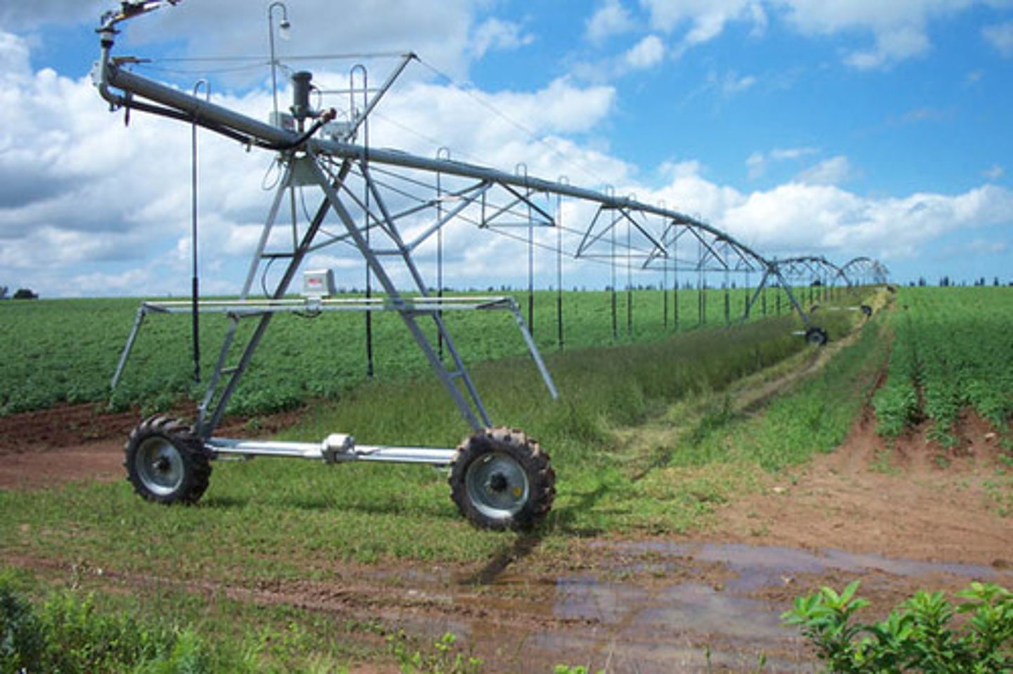 <p>The process of supplying water to areas of land to make them suitable for growing crops.</p>