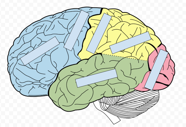<p>Left to Right then down</p>
