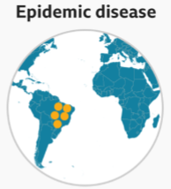 <p>The rapid spread of disease to a large number of patients among a given population within an area in a short time</p>