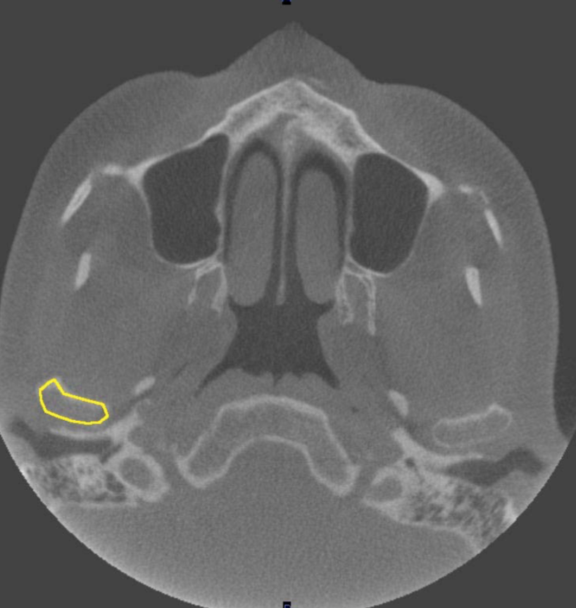 <p>what plane is this </p>