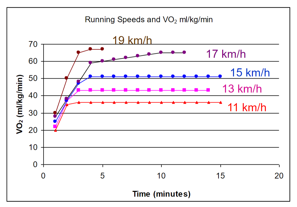 <p>At the 4 minute mark, the individual has achieved VO<sub>2</sub> corresponding to moderate intensities of exercise. As exercise intensities increase beyond moderate levels, VO<sub>2</sub> will increase gradually, indicating a higher metabolic demand on the body.</p>