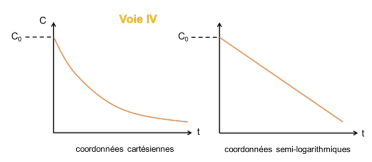 <p>Cette dĂ©croissance reflĂšte les phases de distribution puis dâĂ©limination du mĂ©dicament</p>
