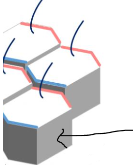 <p>side</p><ul><li><p>place where it contacts another epithelial cell</p></li></ul><p></p>