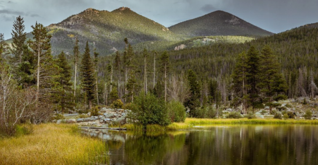 <p>Climate: mild, wet and rarely has snow that stays</p><p>Vegetation: <strong>varies</strong>, many different trees</p><p>Physiography: <strong>alpine tundra </strong>to <strong>coastal rainforest</strong> to <strong>grasslands</strong> and <strong>savannah</strong> forests</p><p>Location: most of southern<strong> British Columbia </strong>and some of southwestern <strong>Alberta</strong></p>