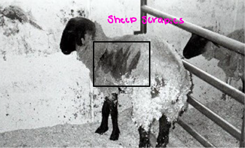 <ul><li><p><span style="color: red;">Discovered by Stanley Prusiner </span></p></li><li><p><span style="color: rgb(255, 255, 255);"><em>Pro</em>teinaceous <em>in</em>fections particle = </span><span style="color: red;">slow/persistent/deadly neurological diseases</span></p></li><li><p>Inherited and transmissible by ingestion, transplant, and surgical instruments </p><ul><li><p><span style="color: red;"><strong>Transmissible spongiform encephalopathies: </strong></span><span style="color: rgb(255, 255, 255);">sheep scrapie’s, Creutzfeldt-Jakob disease, Kuru, fatal familial insomnia, mad cow disease </span></p></li></ul></li><li><p>BSE - bovine spongiform encephalopathy </p></li></ul><p></p>