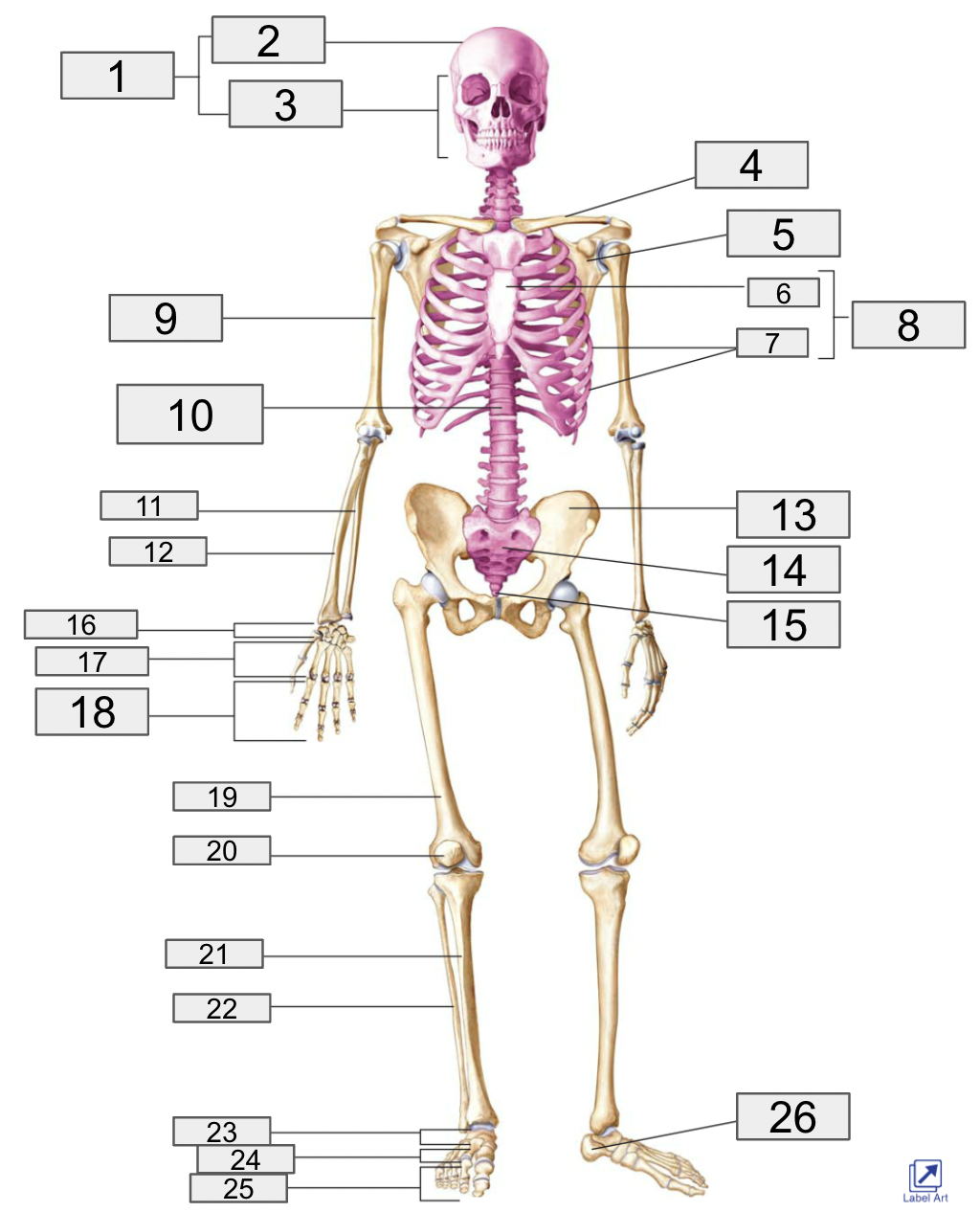 <p>14</p>
