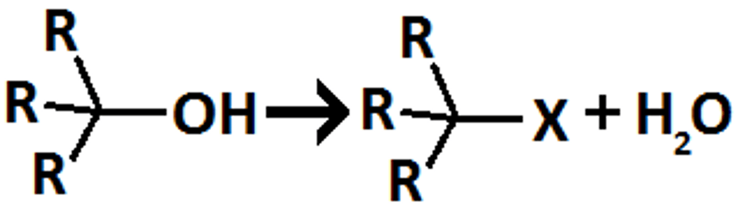 <p>alkyl halide</p><p>racemization</p><p>can rearrange</p>