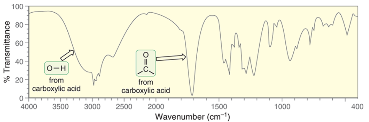 <p>~2200-3600 cm<sup>-1 </sup>.</p><p>very broad; extends over usual C-H signals</p><p>occurs because of dimers resulting from 2 H-bonding interactions for carboxylic acids</p>