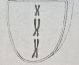 <p>- Cells are N</p><p>- Double-stranded chromosomes are arranged at the equator</p><p>- The centromeres of sister chromatids attach to microtubules extending from opposite poles</p>