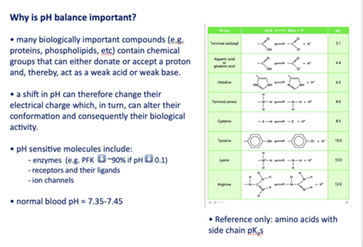 <p>- Enzymes (e.g. PFK ⬇️ ~90% if pH ⬇️ 0.1)</p><p>- Receptors and their ligands</p><p>- Ion channels</p>