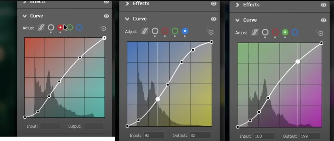 <p>Log E Curve/S Curve</p>