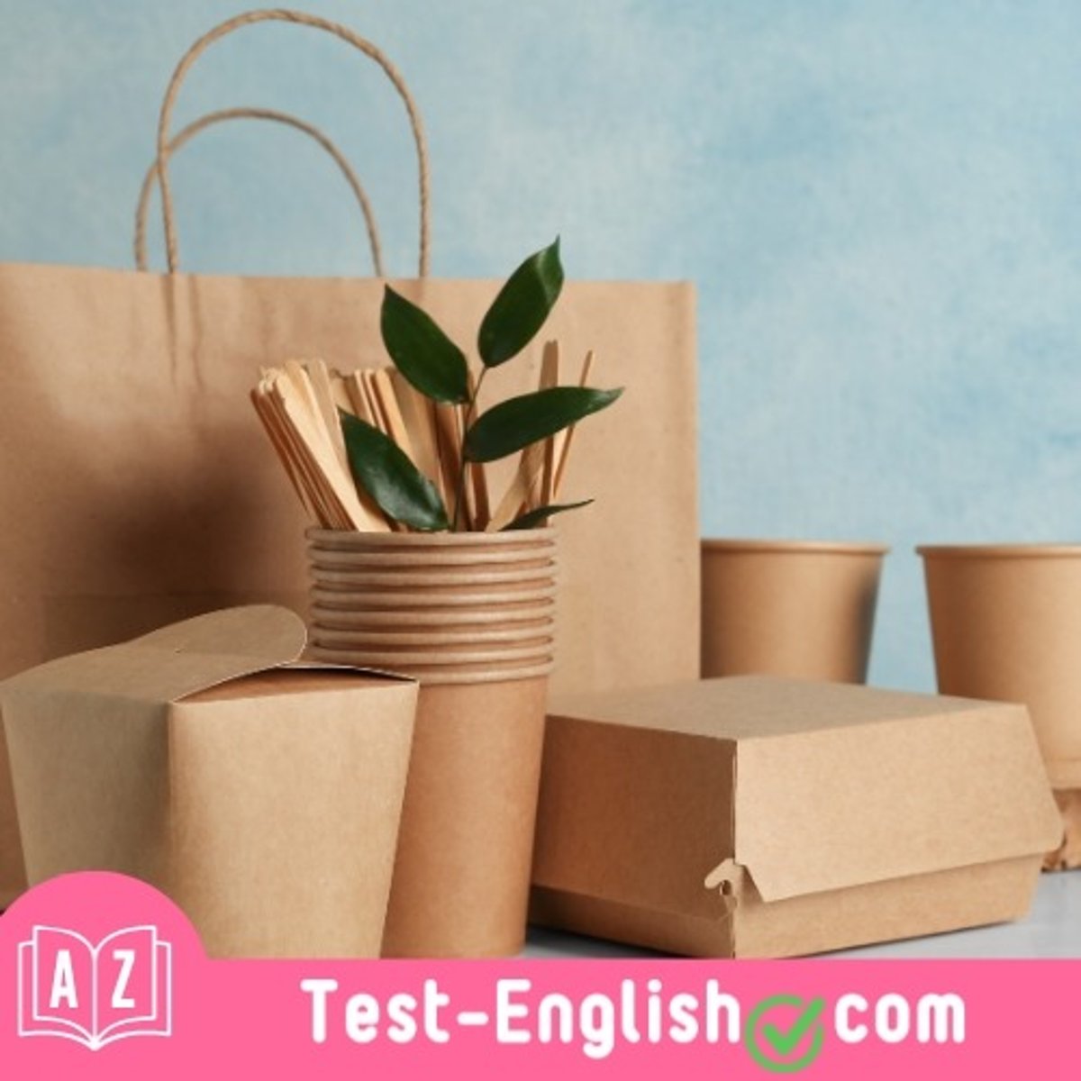 <p>She only buys _____ products to reduce her environmental impact.</p>