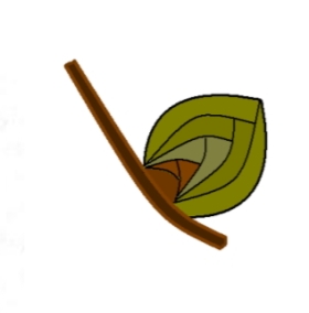 term image