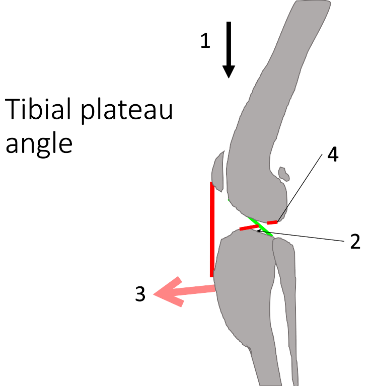 <p>What are 1,2,3 &amp; 4 showing?</p>
