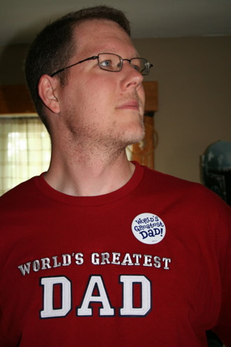 <p>the state of being a father</p>