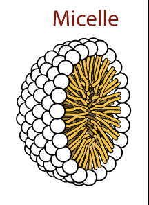 <p>a sphere</p>