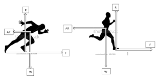<ul><li><p>a clearly labelled sketch showing all of the forces acting on a body at one particular time</p></li></ul>