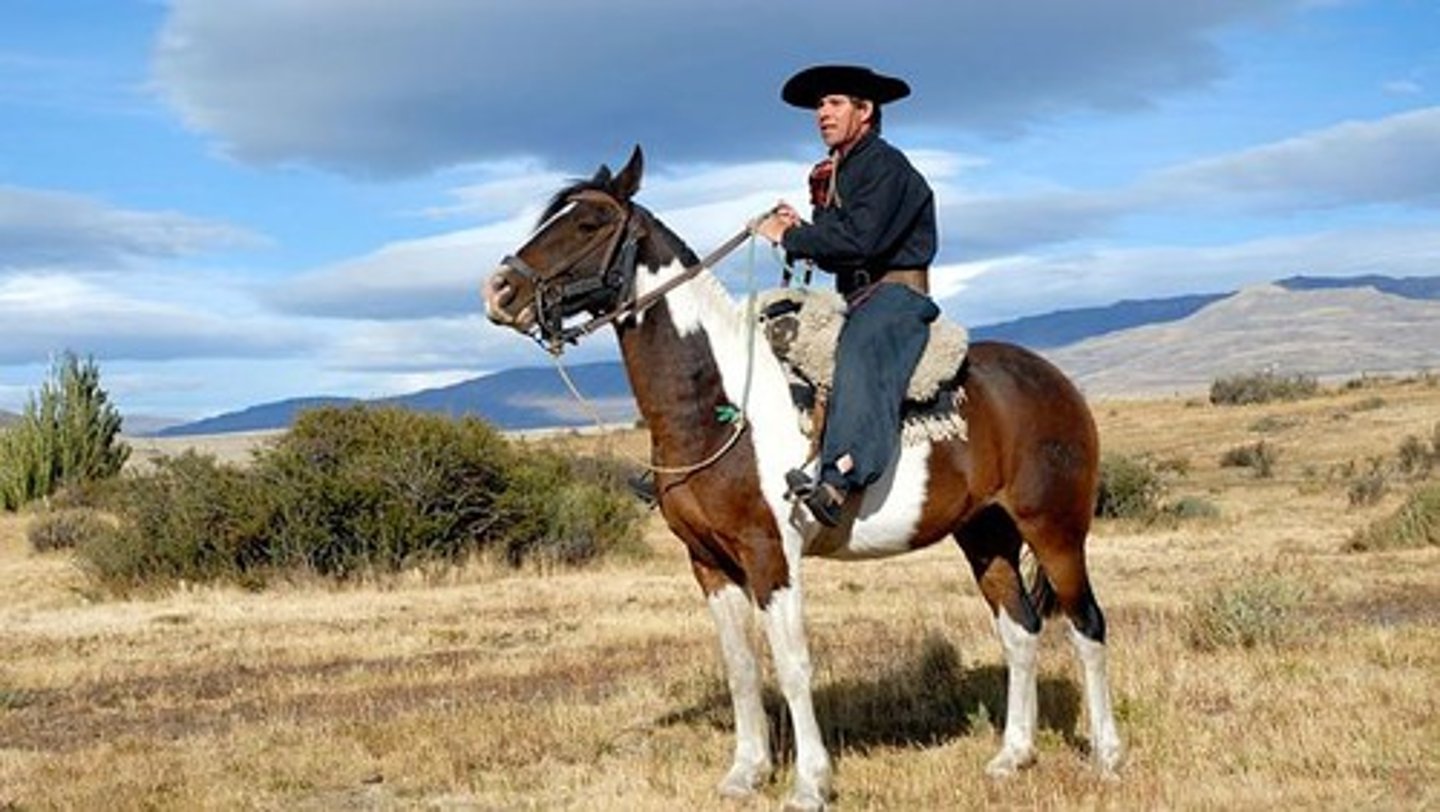 <p>horseback rider</p>