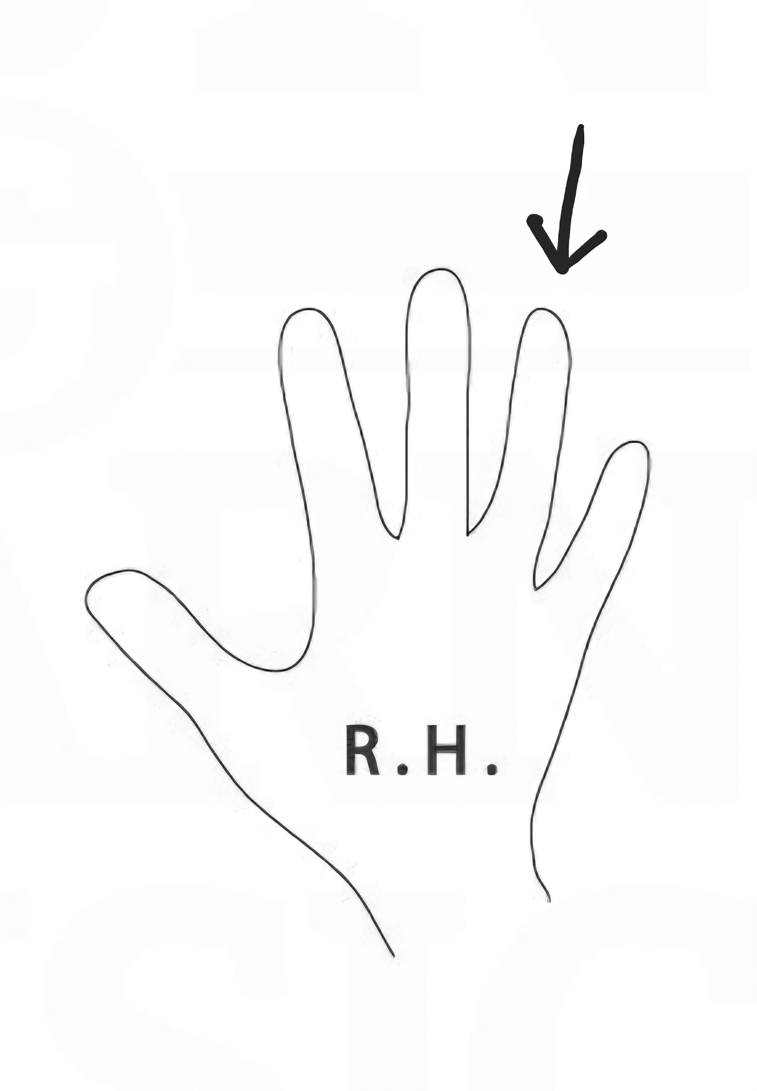 <p>Name the finger number</p>