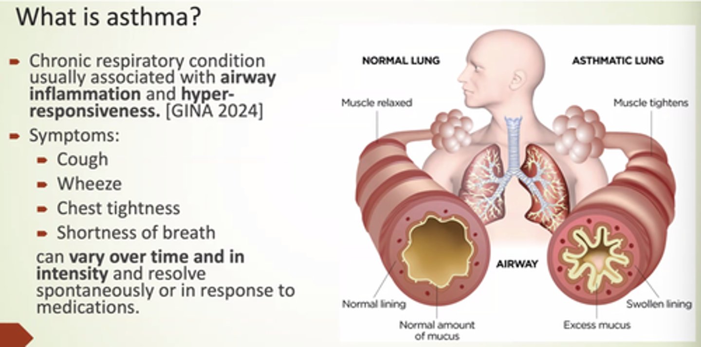 <p>Chronic respiratory condition usually associated w/airway inflammation and hyper-responsiveness.</p>