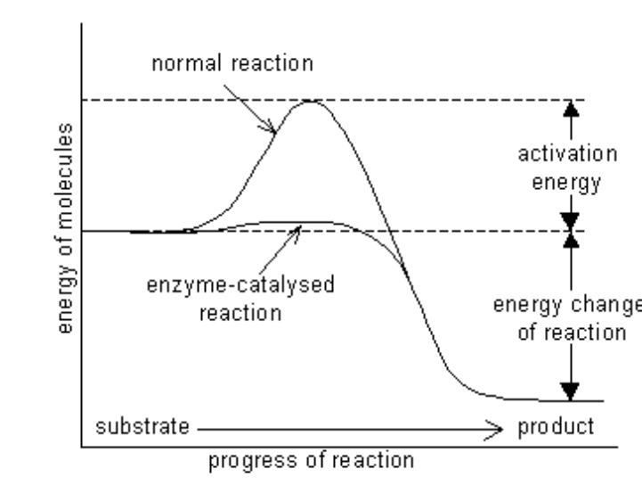 <p>How to determine the direction of reaction?</p>