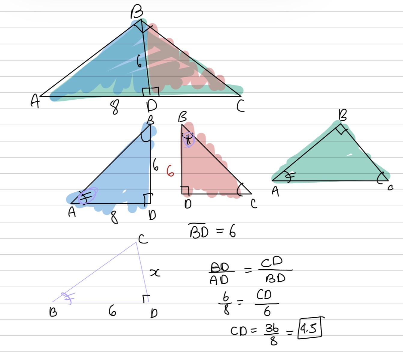 knowt flashcard image