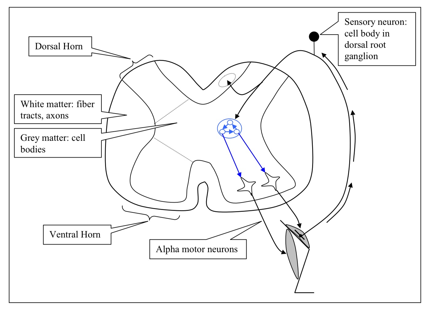 <p>Explain more vividly whats occurring in this diagram?</p>