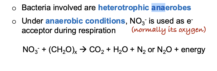 <p>A. NO3-</p>
