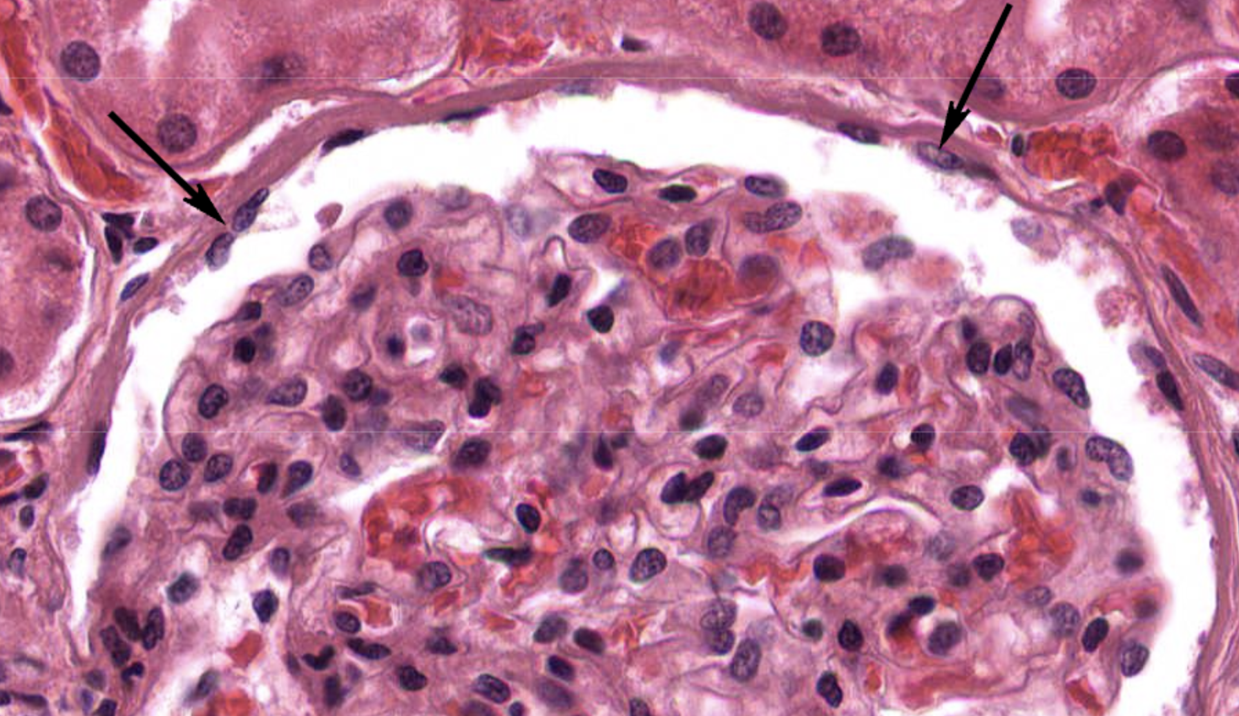 <p>what is this image showing? </p>