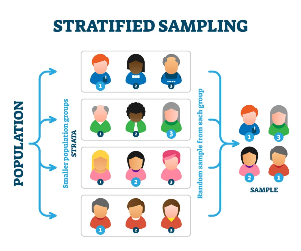 <p>a<span> method where a population is divided into subgroups (strata) based on shared characteristics like age, gender or race, and then a random sample is drawn from each subgroup</span></p>