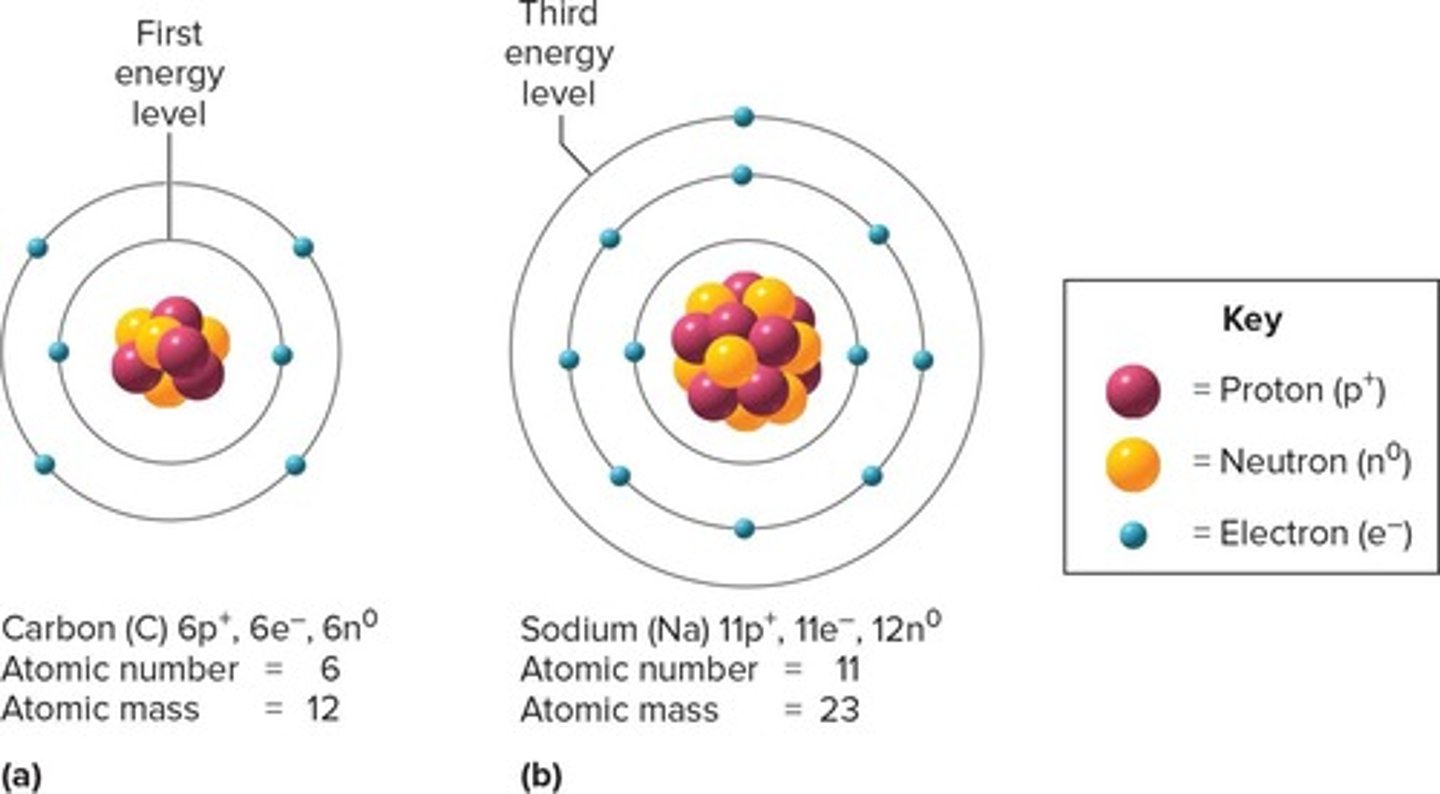 <p>Arranges elements by atomic number and represents them as 1-2 letter symbols.</p>