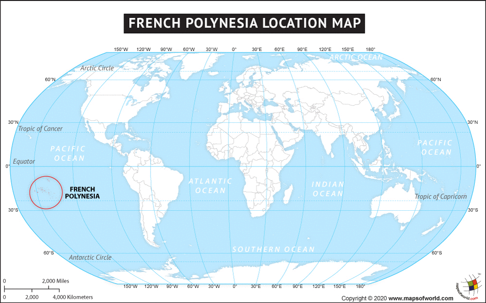 <p><span style="color: rgb(0, 0, 0)">Polynesia</span></p>