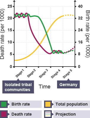 <p>= shows population change over time, studying birth &amp; death rate in 5 stages</p>