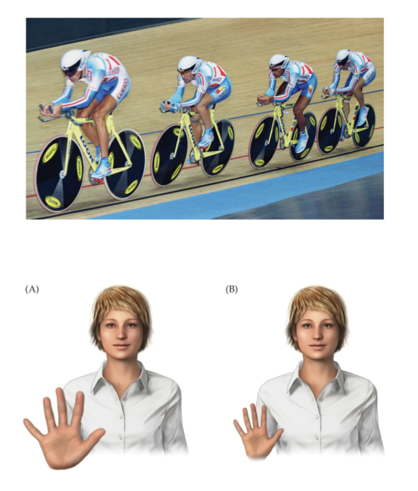 <p>relative.</p><p>exact dimensions.</p><p>farther away.</p>