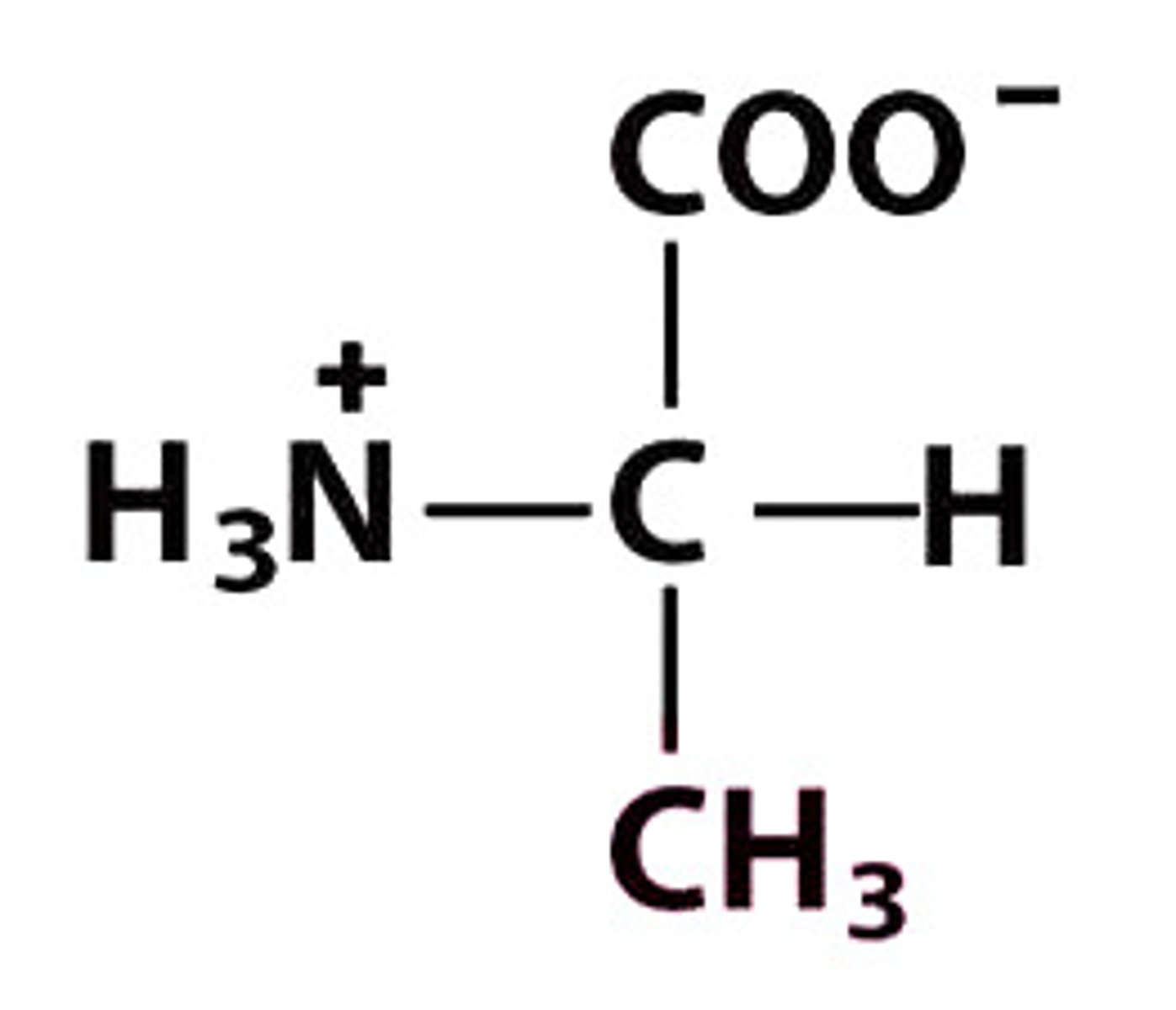 <p>Give the symbol, abbreviation, name of this amino acid</p>