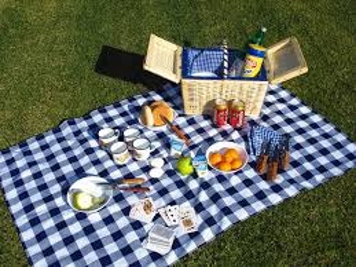 <p>ir de excursión, picnic</p>