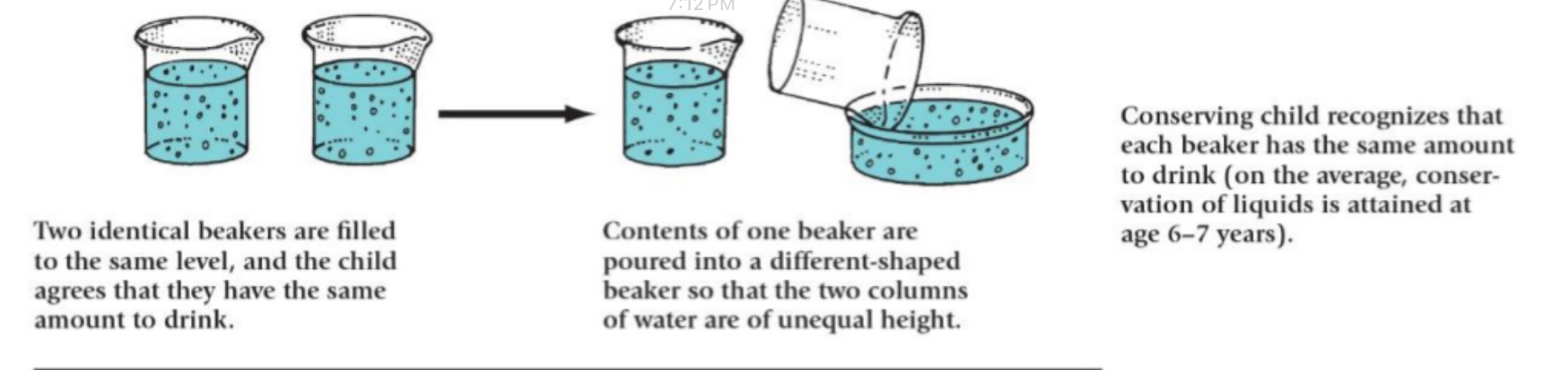 <ul><li><p>Two identical beakers are filled to the same level, and the child agrees that they have the same amount to drink.</p></li><li><p>Contents of one beaker are poured into a different-shaped beaker so that the two columns of water are of unequal height.</p></li><li><p>Child in pre operational stage think that taller glass has more water because they are only focusing on obvious part of problem</p></li><li><p>Conserving child recognizes that each beaker has the same amount to drink (on the average, conservation of liquids is attained at age 6-7 years).</p></li></ul><p></p>