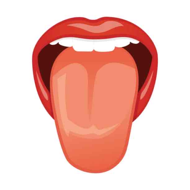 <p>tongue</p>