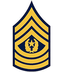 <p>E9 <strong>IN THE ARMY</strong></p>