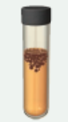 <p>at top, need O2</p><p>catalase and superoxide dismutase (SOD) neutralize O2</p>