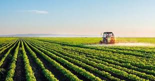 <p>an intensive-commercial farming method that involves the large scale farming system that cultivates a single cash crop, such as coffee, sugar, or rubber, on large estates</p>