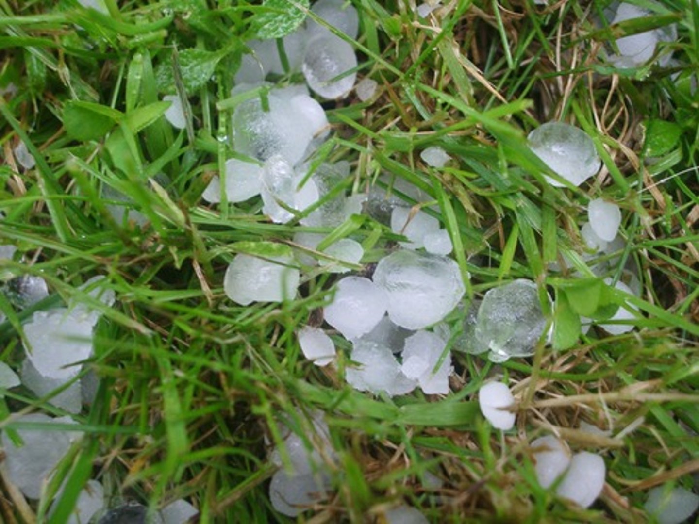 <p>There is hail.</p>