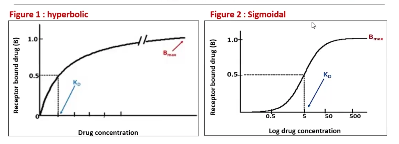 <ul><li><p>Affinity: the ability of a ligand [L] to bind its receptor [R] and become [LR]</p></li><li><p>K<sub>D </sub>: Equilibrium dissociation constant that quantifies affinity, defined as the concentration at which 50% of the receptors are bound to ligand [LR]</p><ul><li><p>The lower K<sub>D</sub>, the greater affinity</p></li></ul></li><li><p>Fractional Occupancy: the percentage of occupied receptors [LR] compared to the total amount of receptors</p><ul><li><p>[LR] / { [R] + [LR] } <strong>or</strong> B / Bmax</p></li></ul></li></ul><p>Ps: sigmoidal = cooperativity</p>