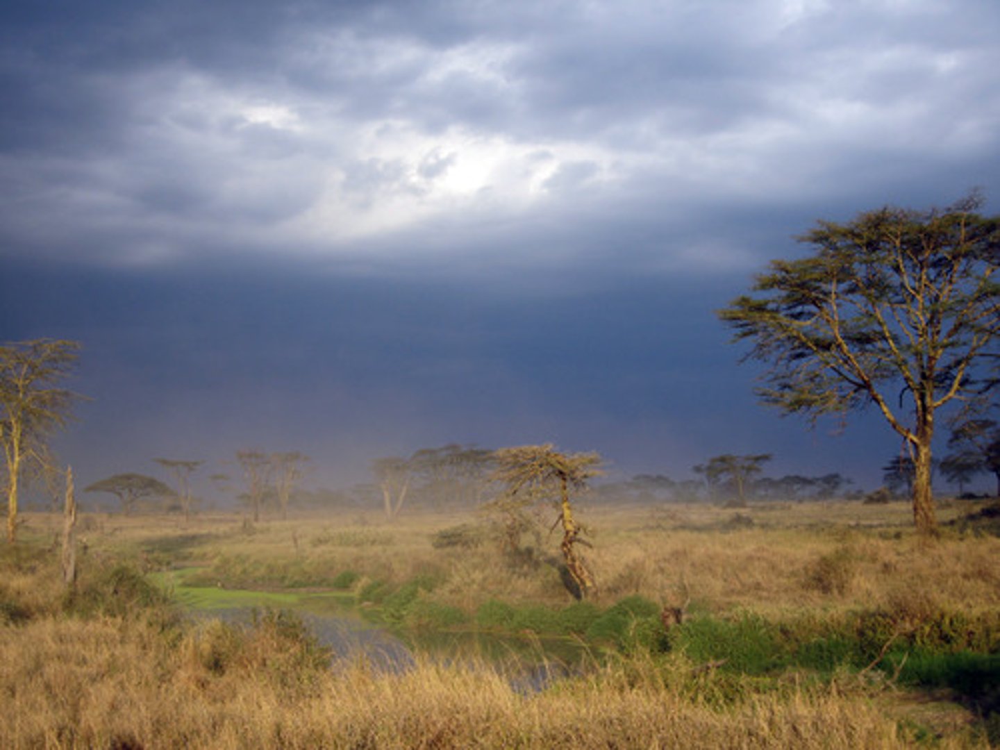 <p>Annual rainfall ranges from 10 inches to 30 inches. During dry seasons lighting often strikes the ground.</p>
