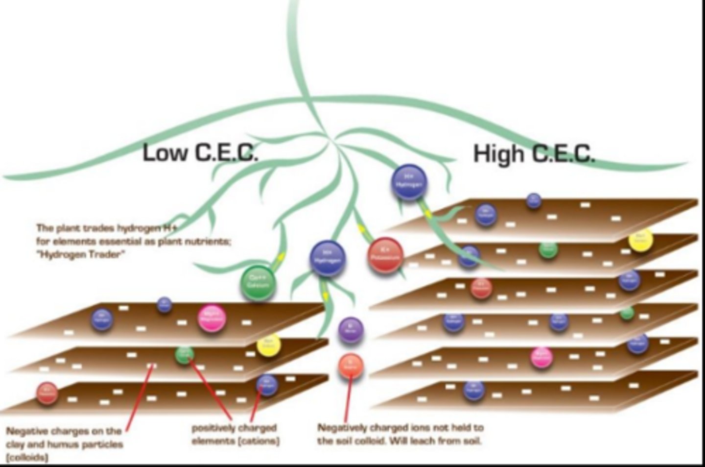 <p>chemical property of soil, nutrient-holding capacity, organic material = high</p>