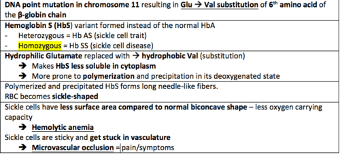 <p>Sickle cell disease is caused by the homozygous sickle cell mutation (Hb SS).</p><p>This is due to a substitution of a single amino acid.</p><p>Hydrophilic glutamate is replaced which hydrophobic valine.</p>