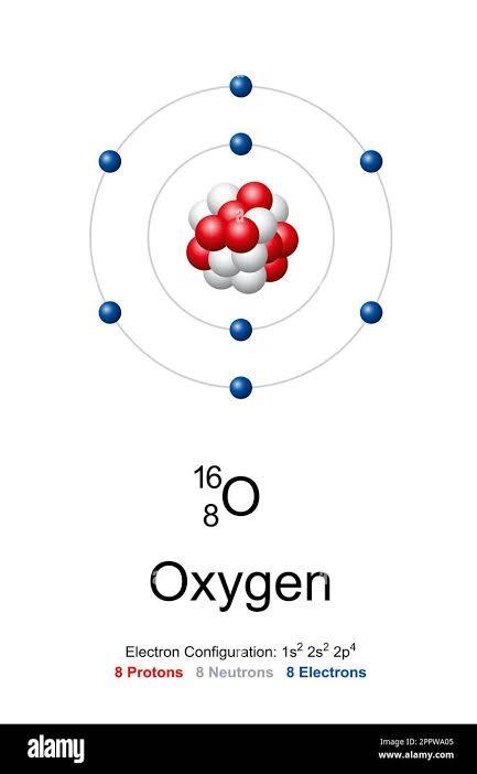 <p>Oxygen. 2 electrons in inner shell, 6 in valence shell. 8 protons, neutrons, and electrons</p>