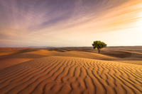 <p><span><strong>an </strong></span><strong>area</strong><span><strong>, often </strong></span><strong>covered</strong><span><strong> with </strong></span><strong>sand</strong><span><strong> or </strong></span><strong>rocks</strong><span><strong>, where there is very little </strong></span><strong>rain</strong><span><strong> and not many </strong></span><strong>plants</strong></p>