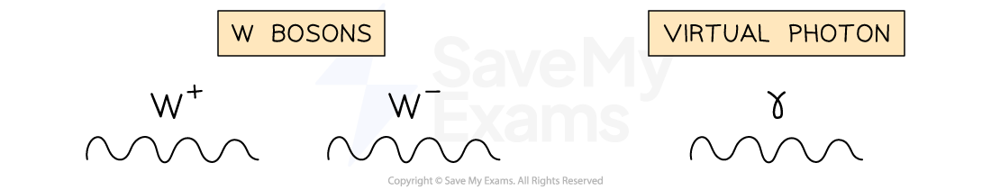 <ul><li><p>Exchange particles act as a force carrier between particles in an interaction</p></li><li><p>W- particle going to the left is the same as a W+ particles going to the right</p></li></ul><p></p>