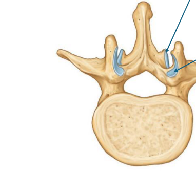 <p>left to right</p>